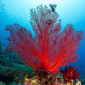https://inada.albaniahotels.org